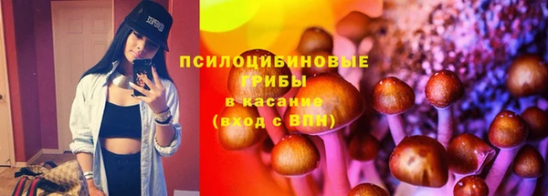 экстази Арсеньев