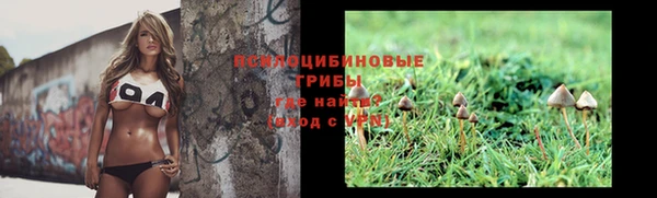 не бодяженный Аркадак