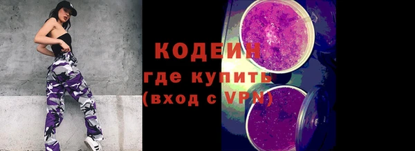 крисы Армянск