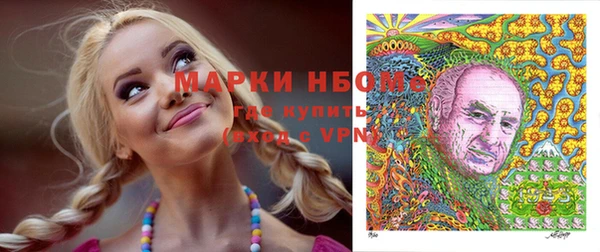 крисы Армянск