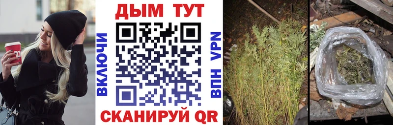 Бошки марихуана сатива  Ишим 
